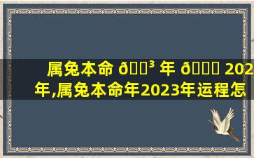 属兔本命 🐳 年 🐒 2023年,属兔本命年2023年运程怎么化解